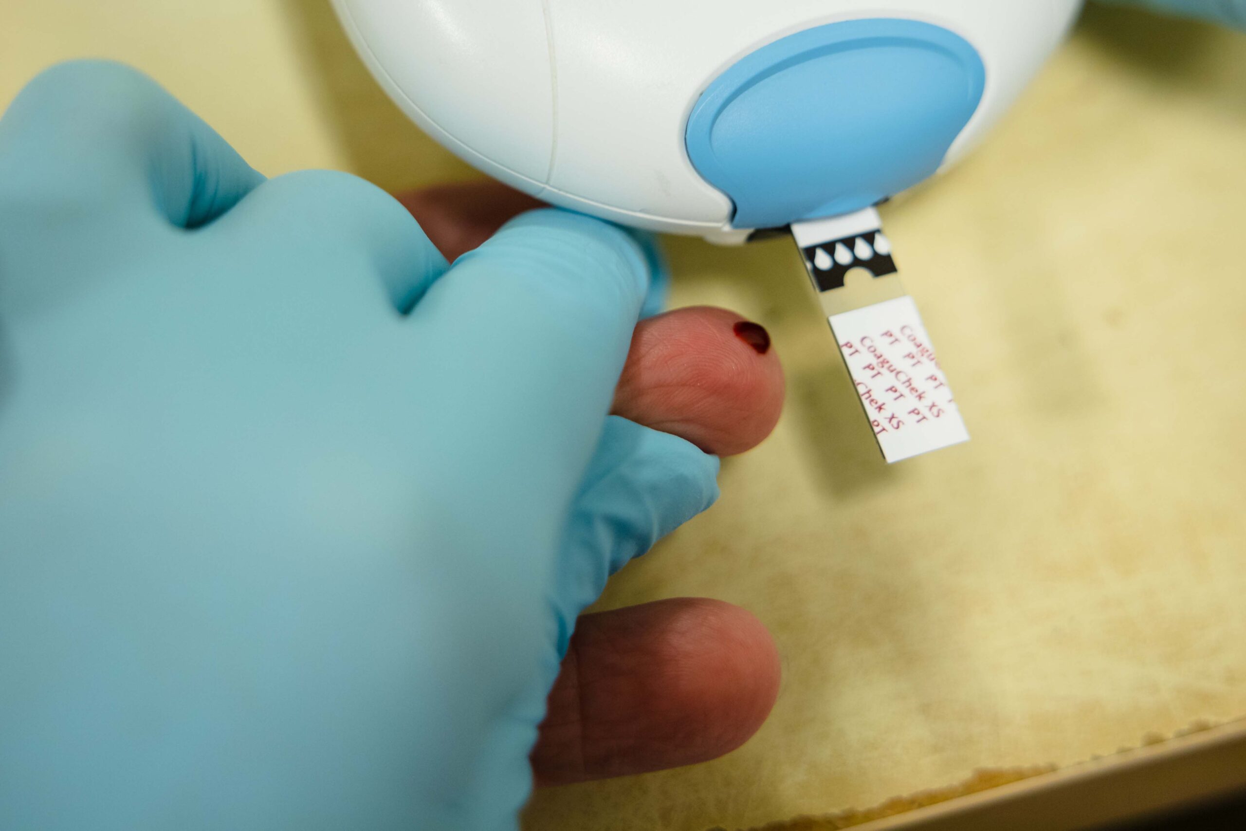 Bloedprikken Blankenburg